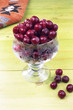 Different Frozen Fruits Morello Chery in Cup