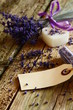 lavendel