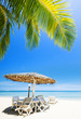 Tropical beach in sunny day. Vertical panoramic composition.