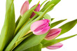 Photo: Tulips Tulips
