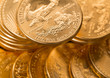 Collection of one ounce gold coins
