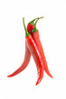 Red Hot Chilli Peppers