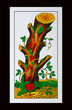 Foto: Napoletane - Italienisches Kartenspiel Napoletane - Italienisches Kartenspiel