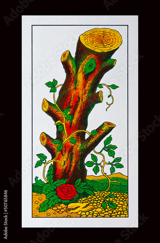 Photo: Napoletane - Italienisches Kartenspiel Napoletane - Italienisches Kartenspiel