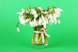 Bouquet of snowdrop flowers in glass vase, on color background