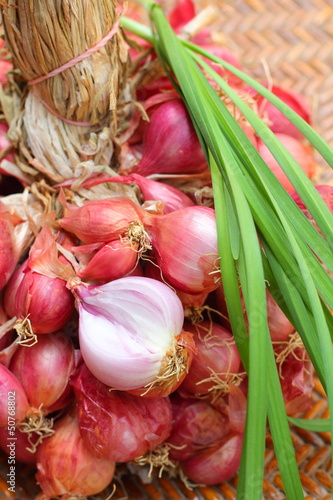 Photo: Shallot - asia red onion Shallot - asia red onion