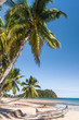 Tropical beach landscape