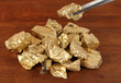 Tweezers holding golden nugget on wooden background