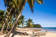 Tropical beach landscape