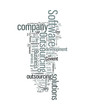 Software Outsourcing Company