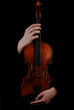 Violin in hands on black background