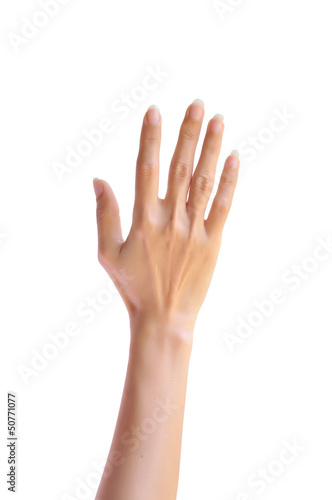 Photo: Woman hand Woman hand