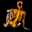 human radiography scan