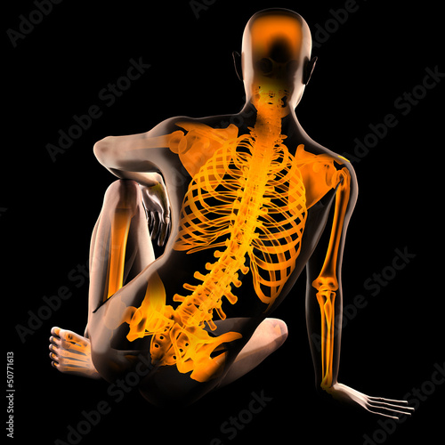 Illustration: human radiography scan human radiography scan