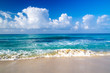 tropical sea
