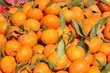 Foto: Background of freshly plucked tangerines Background of freshly plucked tangerines