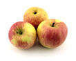 Apples