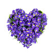heart from flowers, a bouquet from the irises