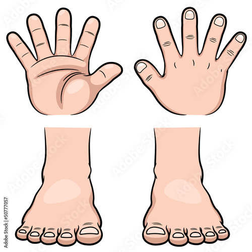 Vector: Vector illustration of hands and feet Vector illustration of hands and feet