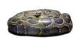 Photo: Python molurus. Isolated over white Python molurus. Isolated over white