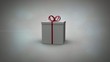 Video: Gift illustration revealing woman getting present from partner Gift illustration revealing woman getting present from partner