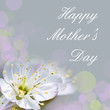 Photo: Happy mother's day cherry tree blossom Happy mother's day cherry tree blossom