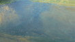 Video: Montage Images Clean Water Oceans Across World Montage Images Clean Water Oceans Across World