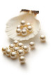 Scattering white pearls in seashell