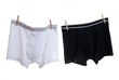 men boxer underwear isolated