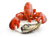 Lobster and oyster