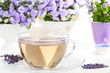 Lavendeltee vor lila Glockenblumen
