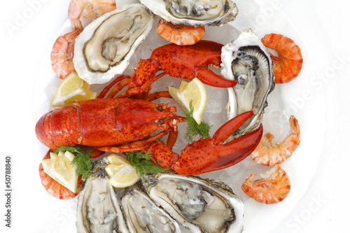 Photo: Fresh seafood Fresh seafood