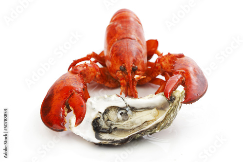 Photo: Lobster and oyster Lobster and oyster