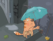 Cat and an autumn rain. Cartoon