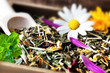 Wellness - Kräuter und Blüten