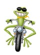 ranocchia biker