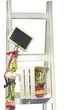 Garten-DEKO ISOLATED - TEXTFREIRAUM