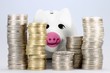 Sparschwein12