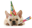 birthd