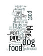 Tag and Ping Get Your Blogs Indexed Fast