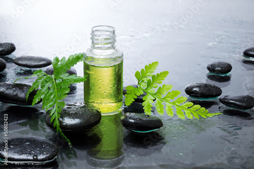 Photo: felce, olio, pietre nere felce, olio, pietre nere