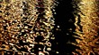 Abstract of moving water with colours at night