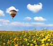 Photo: Over the blossoming field of flying a balloon Over the blossoming field of flying a balloon