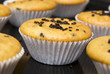 Freshly baked muffins in cups topped with chocolate .