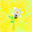 bee busy bee