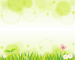 natural green background Vector