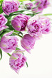 Foto: lovely pink lovely pink