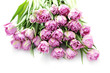 Foto: lovely pink lovely pink