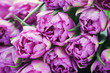 lovely pink