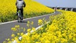 菜の花咲くサイクリングロード